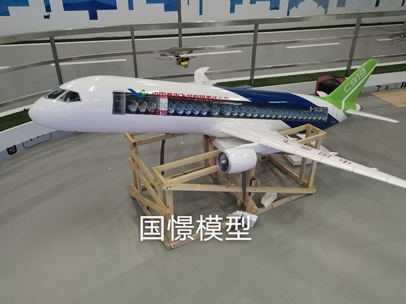 大埔县飞机模型